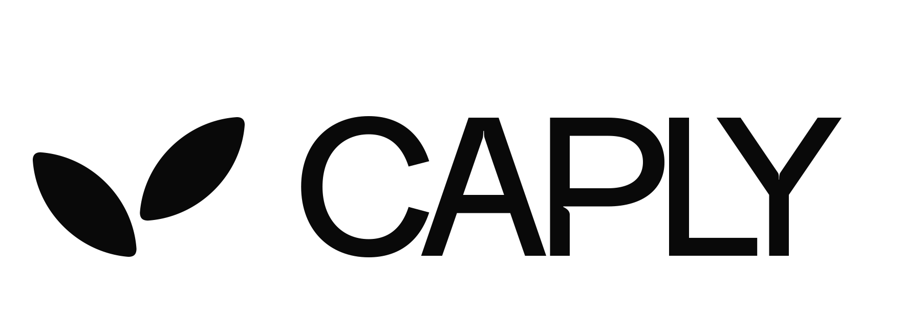 Login - CAPLY.MONEY